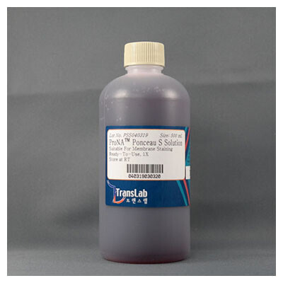바이오마트, Ponceau S Solution - Membrane Stain, 500 ml, TLP-113, Membrane Stain solution으로 Acetic Acid를 사용하지 않아 냄새가 없음