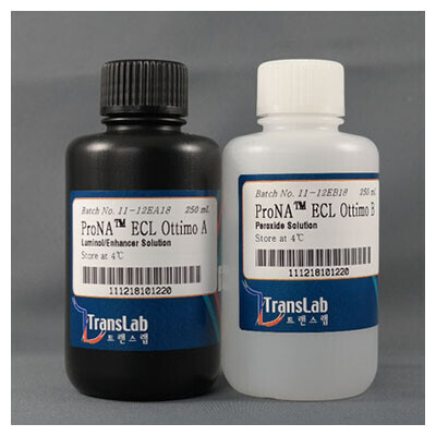 바이오마트, ECL ottimo, 500 ml, TLP-112.1, 항원항체 반응을 이용한 화학발광 검출에 사용
