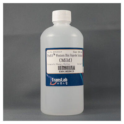 바이오마트, Reprobe, mild, 500 ml, TLP-116.1, 항원 damage 최소화