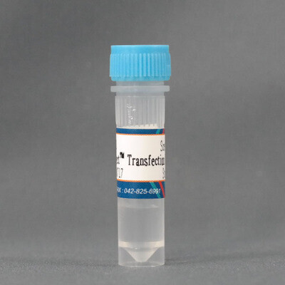 바이오마트, ProNA Gene-Fect Transfection Reagent, 1.2ml, TLC-001, 고효율, 저렴한 DNA Transfection Reagent