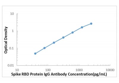 바이오마트, SARS-COV-2 Spike RBD Protein IgG Antibody ELISA Kit, SKU: CBK4137, 